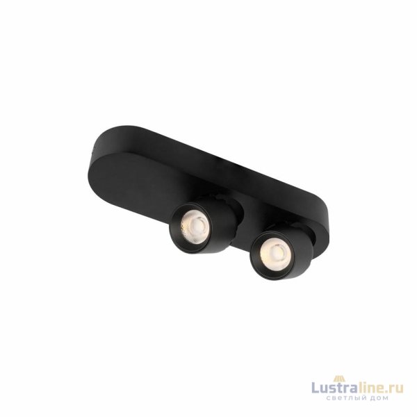 Накладной спот Loft IT Quiet 10320/2 Black Накладной спот Loft IT Quiet 10320/2 Black