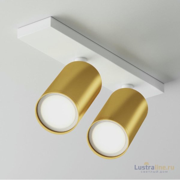 Спот Maytoni Technical Focus S C051CL-U-2WMG Спот Maytoni Technical Focus S C051CL-U-2WMG