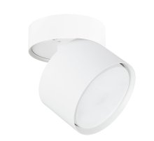 Накладной спот Arte Lamp Intercrus A5549PL-1WH