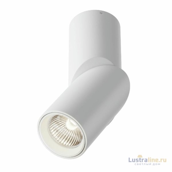Накладной спот Maytoni Dafne C027CL-L10W4K