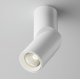 Накладной спот Maytoni Dafne C027CL-L10W4K