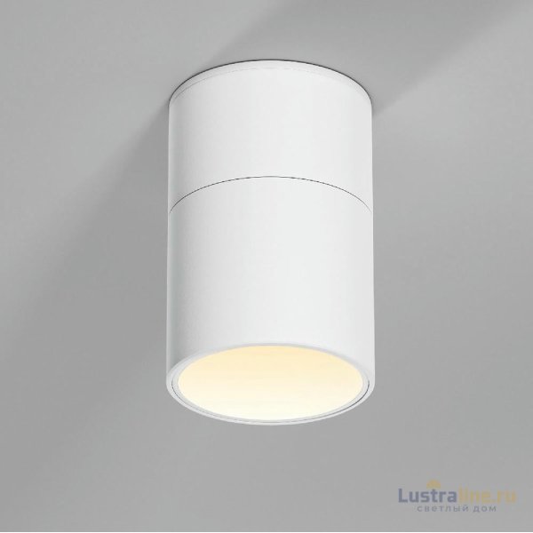 Накладной спот Elektrostandard Rolly 25112/LED 4690389207853 a067486