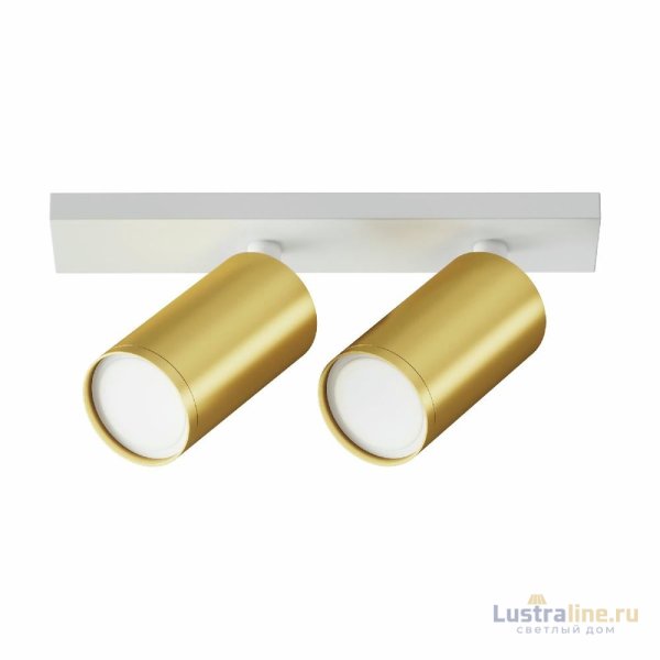 Спот Maytoni Technical Focus S C051CL-U-2WMG Спот Maytoni Technical Focus S C051CL-U-2WMG