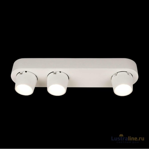 Накладной спот Loft IT Quiet 10320/3 White
