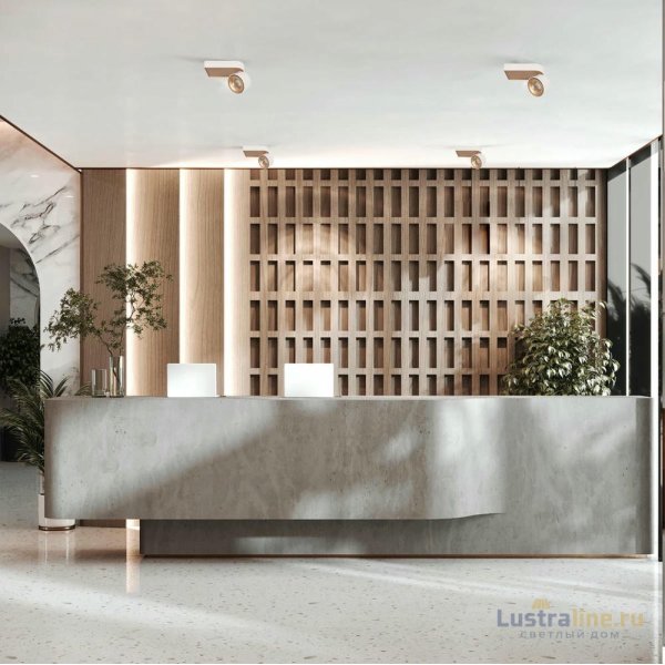 Накладной спот Loft IT Knof 10324/A Gold White