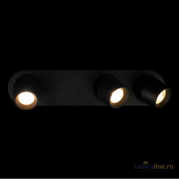 Накладной спот Loft IT Quiet 10320/3 Black