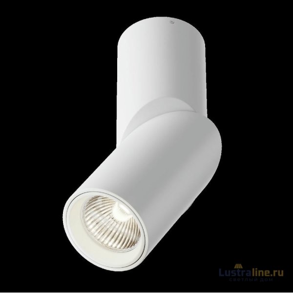 Накладной спот Maytoni Dafne C027CL-L10W4K