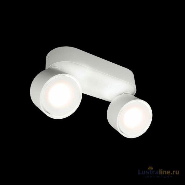 Накладной спот Loft IT Focus 10323/2A White