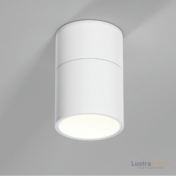 Накладной спот Elektrostandard Rolly 25112/LED 4690389207860 a067487