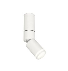 Спот Ambrella Light Techno Spot XM6312120 (C6322, A2061, A2220, C6312, N6220)