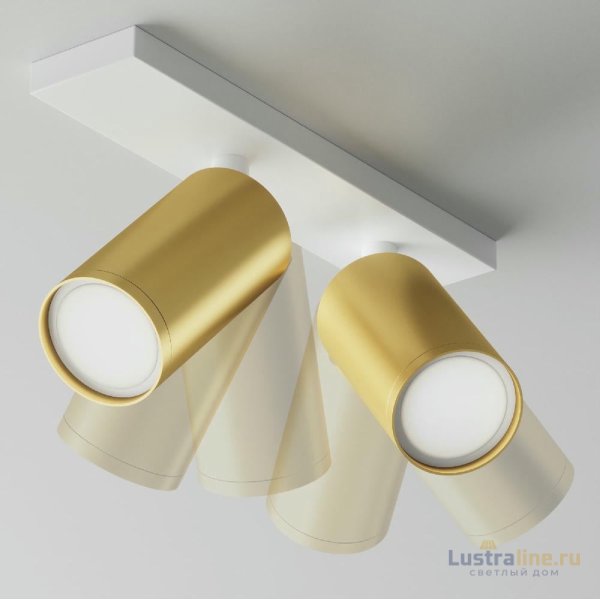 Спот Maytoni Technical Focus S C051CL-U-2WMG Спот Maytoni Technical Focus S C051CL-U-2WMG