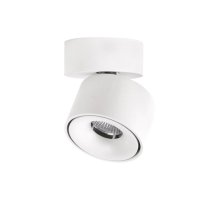 Спот Citilux CL558010N