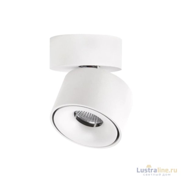 Спот Citilux CL558010N
