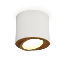 Накладной поворотный светильник Ambrella Light Techno XS7401004 (C7401, N7004) Накладной поворотный светильник Ambrella Light Techno XS7401004 (C7401, N7004)