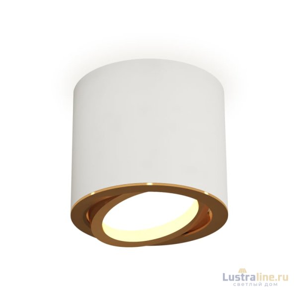 Накладной поворотный светильник Ambrella Light Techno XS7401004 (C7401, N7004) Накладной поворотный светильник Ambrella Light Techno XS7401004 (C7401, N7004)