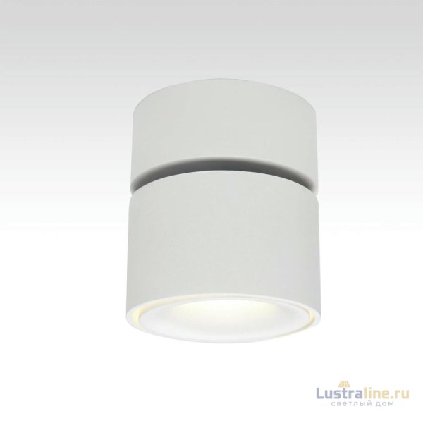 Спот Citilux CL558010N