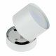 Спот Fametto Sotto DLC-S615 GX53 White UL-00009782