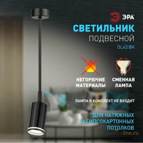 Спот Эра OL43 BK Б0058490