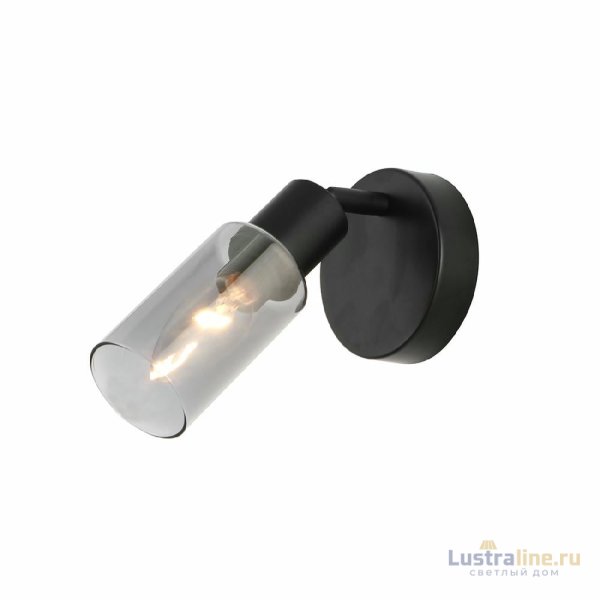 Спот Escada Sector 10172/1A Chrome