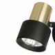 Спот Citilux Sat CL505611