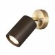 Спот Odeon Light Caucho Minima 7062/1W