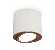 Накладной поворотный светильник Ambrella Light Techno XS7401005 (C7401, N7005) Накладной поворотный светильник Ambrella Light Techno XS7401005 (C7401, N7005)