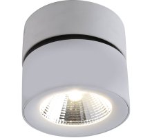 Спот Divinare Urchin 1295/03 PL-1