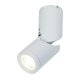 Светодиодный спот Maytoni Tube C019CW-01W