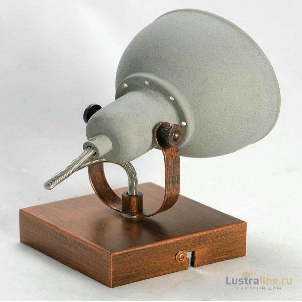 Спот Lussole Loft Diana LSP-9828