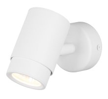 Спот Eurosvet Morgan 20124/1 белый