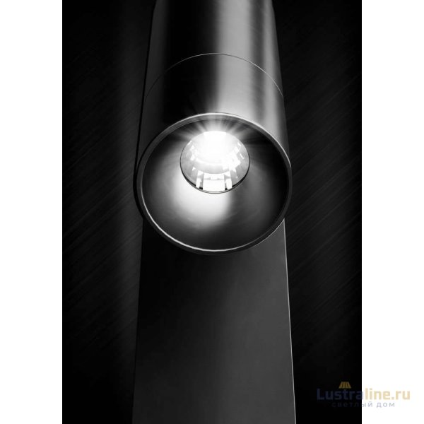 Спот Eglo TP Spotlight 98817 Спот Eglo TP Spotlight 98817