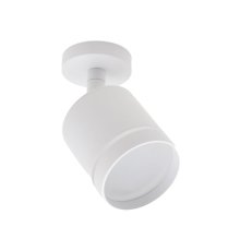Светодиодный спот 20009 20009SMA/02LED SWH