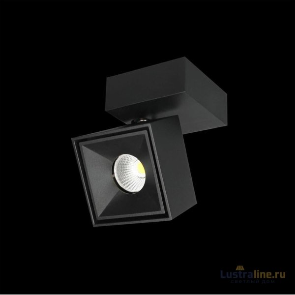 Спот Citilux CL558021N Спот Citilux CL558021N