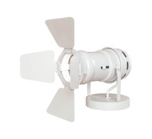 Спот LOFT IT Cinema Loft2096-S