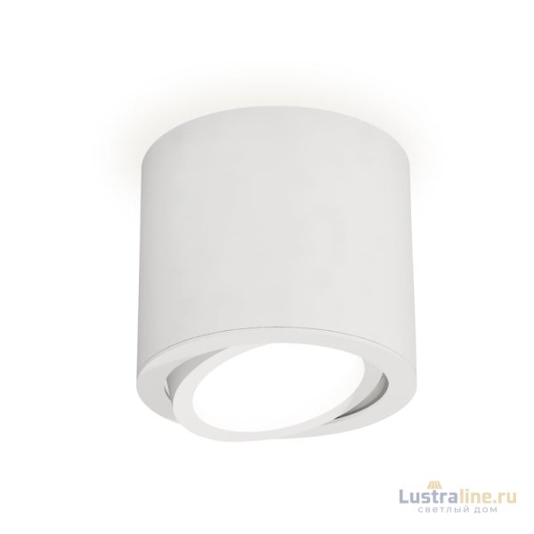 Накладной поворотный светильник Ambrella Light Techno XS7401001 (C7401, N7001) Накладной поворотный светильник Ambrella Light Techno XS7401001 (C7401, N7001)