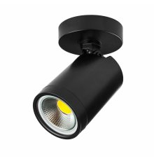 Спот Lightstar Rullo 213407