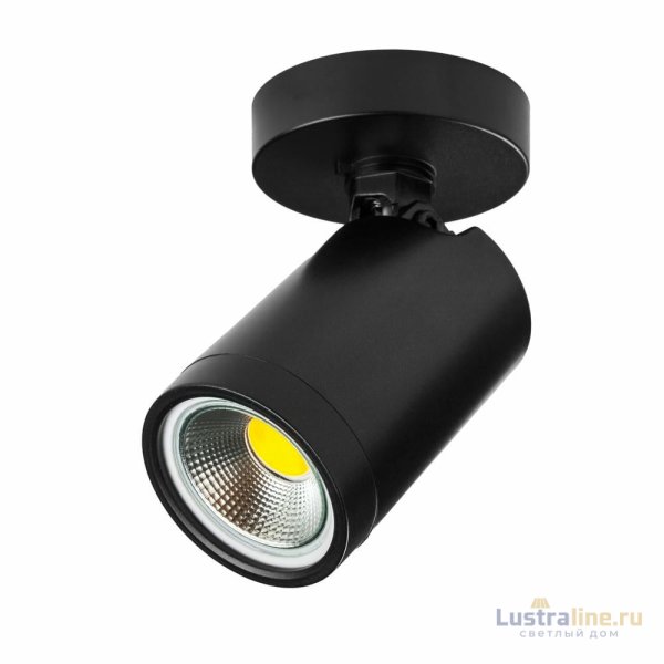 Спот Lightstar Rullo 213407