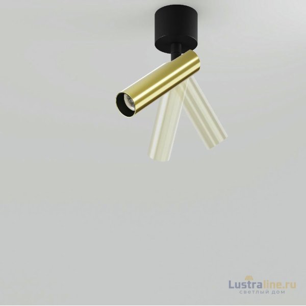 Спот Maytoni Focus T C141CL-L125-6W3K-BBS