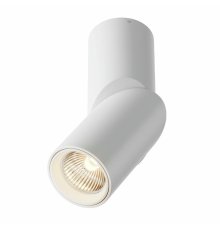Светодиодный спот Maytoni Dafne C027CL-L10W 3000K