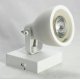 Спот Lussole Loft Ban GRLSP-9822