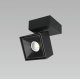 Спот Citilux CL558021N