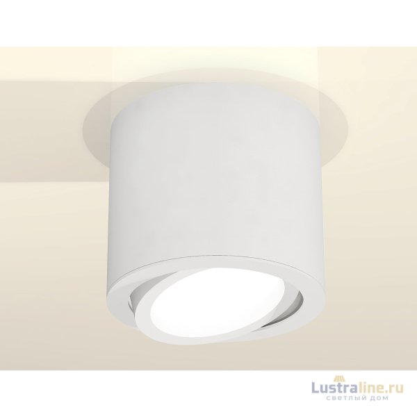 Накладной поворотный светильник Ambrella Light Techno XS7401001 (C7401, N7001) Накладной поворотный светильник Ambrella Light Techno XS7401001 (C7401, N7001)