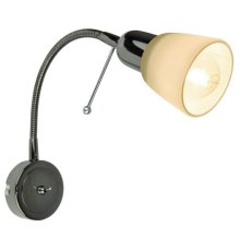 Спот Arte Lamp Lettura A7009AP-1BC