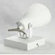 Спот Lussole Loft Ban GRLSP-9822