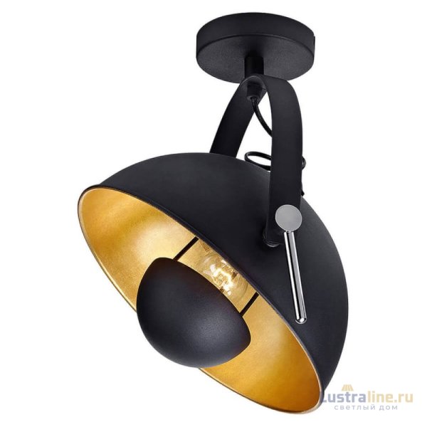 Спот Lussole Loft Bollo GRLSP-9825 Спот Lussole Loft Bollo GRLSP-9825