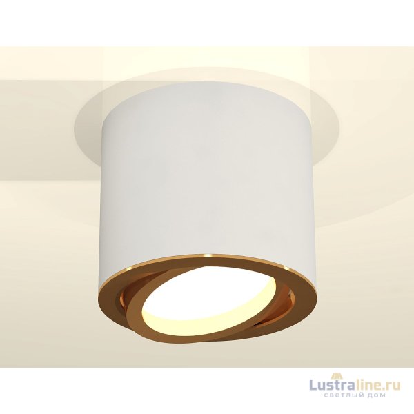 Накладной поворотный светильник Ambrella Light Techno XS7401004 (C7401, N7004) Накладной поворотный светильник Ambrella Light Techno XS7401004 (C7401, N7004)