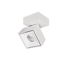 Спот Citilux CL558020N