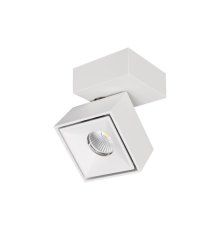 Спот Citilux CL558020N