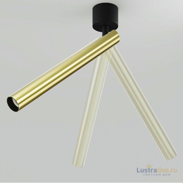 Спот Maytoni Focus T C141CL-L300-6W4K-BBS Спот Maytoni Focus T C141CL-L300-6W4K-BBS