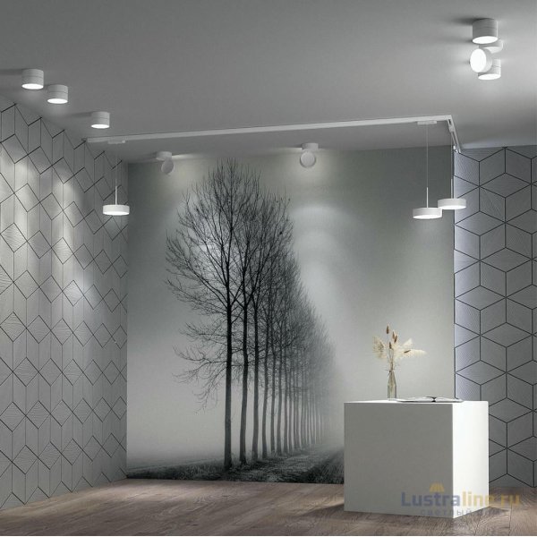 Спот Novotech Prometa 358749 Спот Novotech Prometa 358749